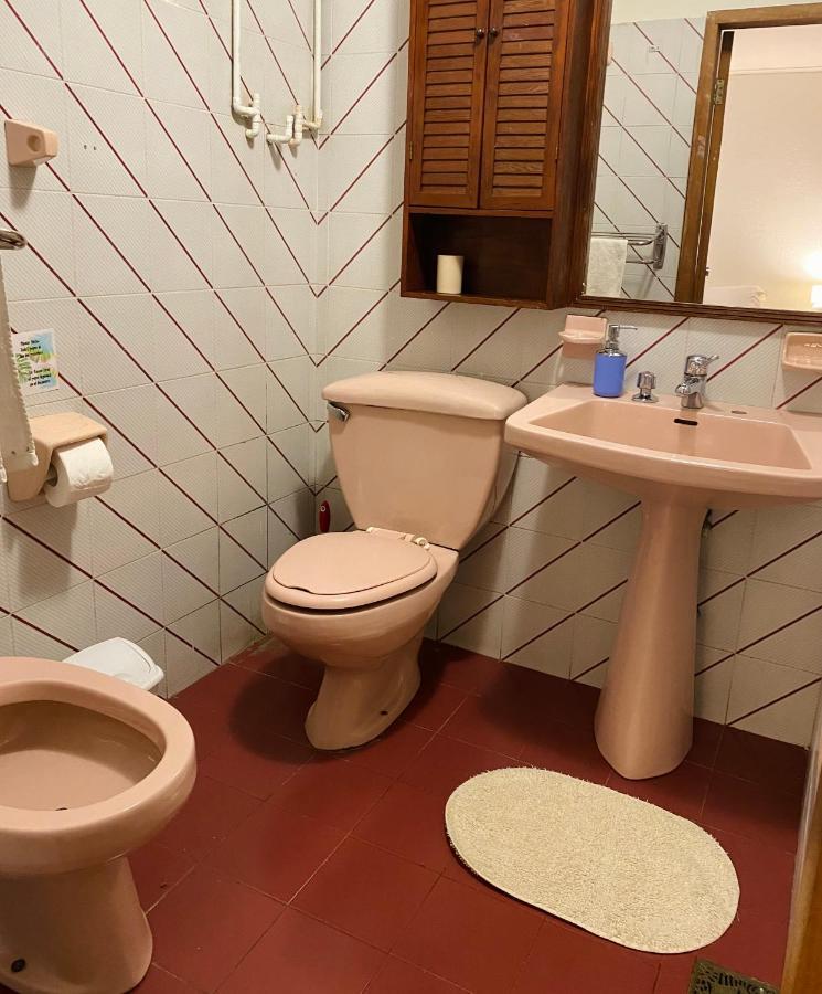 Alma Nativa Hostel Пукон Экстерьер фото