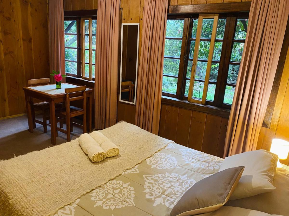 Alma Nativa Hostel Пукон Экстерьер фото