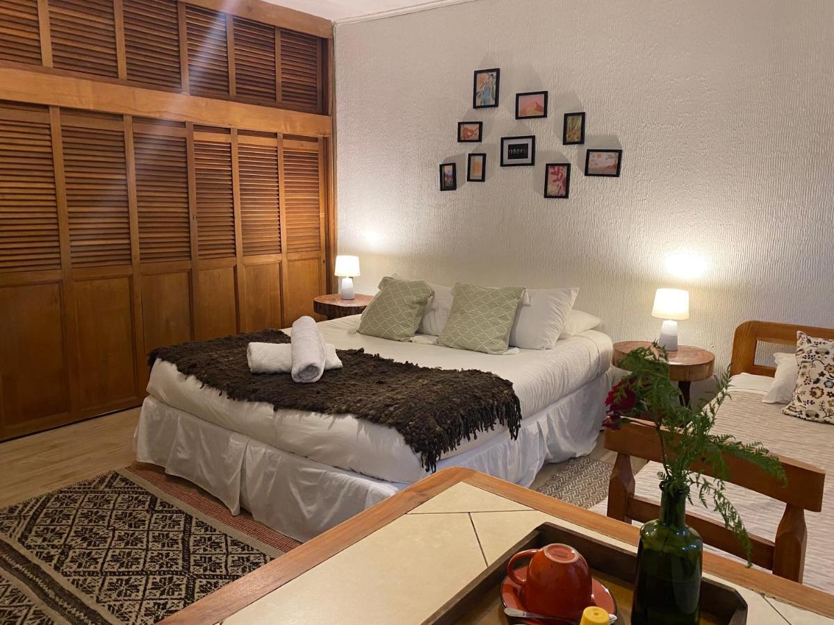 Alma Nativa Hostel Пукон Экстерьер фото
