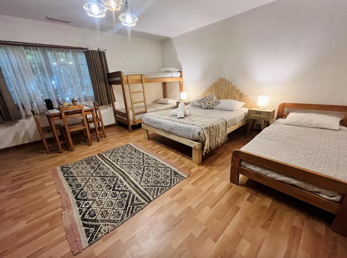 Alma Nativa Hostel Пукон Экстерьер фото